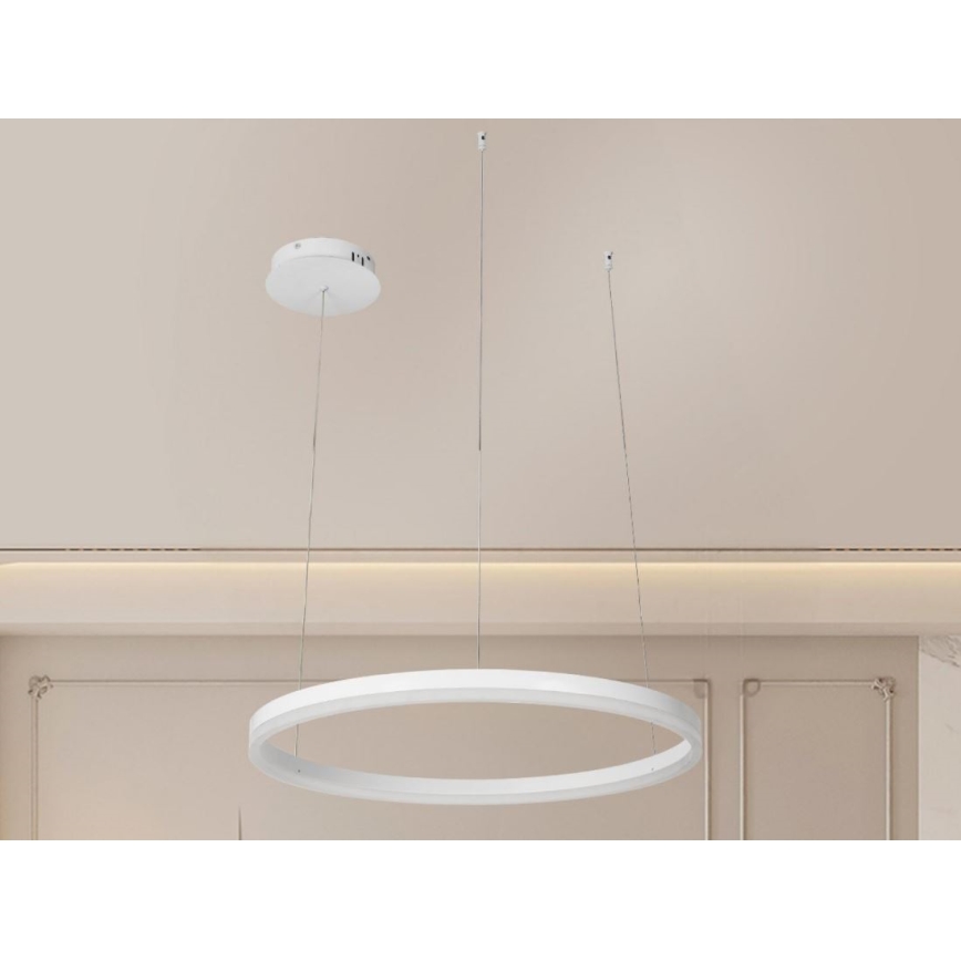LED Stmievateľný luster na lanku LED/42W/230V 3000-6500K + diaľkové ovládanie