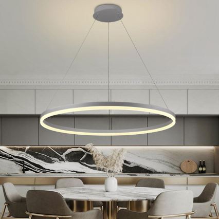 LED Stmievateľný luster na lanku LED/55W/230V 3000-6500K pr. 80 cm + diaľkové ovládanie