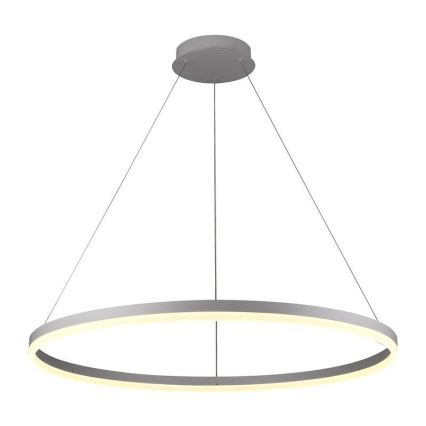 LED Stmievateľný luster na lanku LED/55W/230V 3000-6500K pr. 80 cm + diaľkové ovládanie