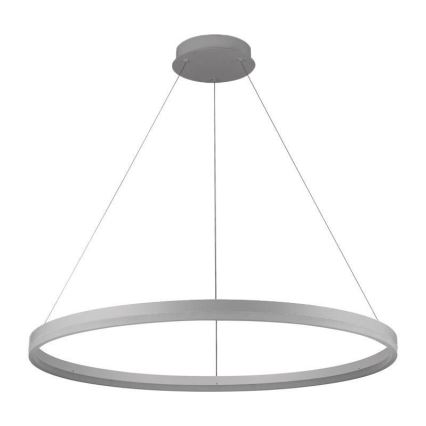 LED Stmievateľný luster na lanku LED/55W/230V 3000-6500K pr. 80 cm + diaľkové ovládanie