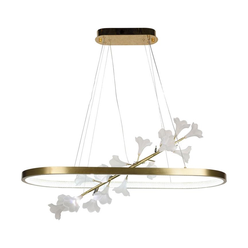 LED Stmievateľný luster na lanku LED/55W/230V 3000-6500K + diaľkové ovládanie