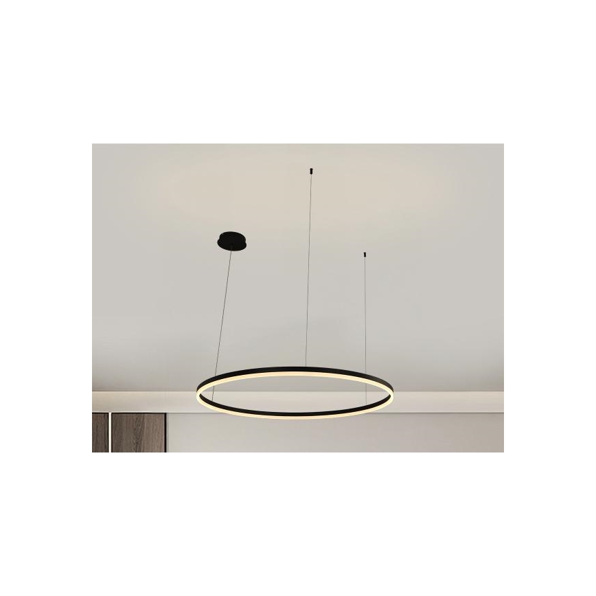 LED Stmievateľný luster na lanku LED/55W/230V 3000-6500K + diaľkové ovládanie