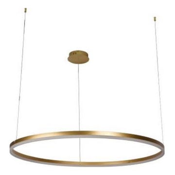 LED Stmievateľný luster na lanku LED/55W/230V 3000-6500K + diaľkové ovládanie