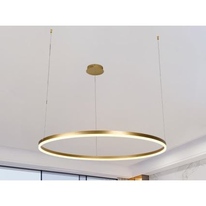 LED Stmievateľný luster na lanku LED/55W/230V 3000-6500K + diaľkové ovládanie