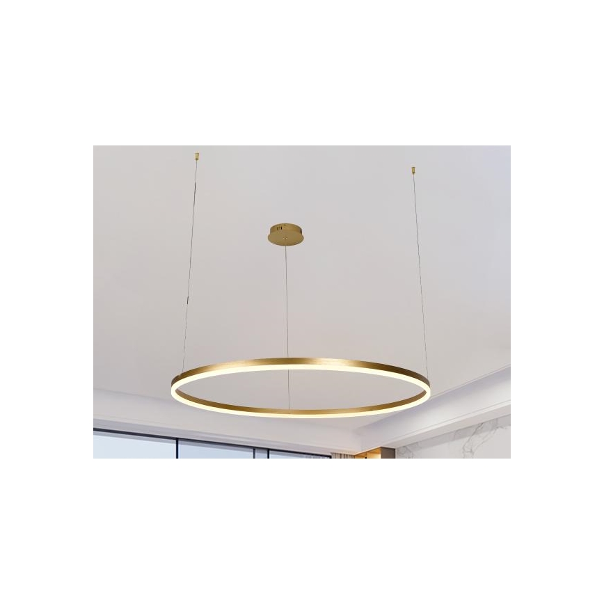 LED Stmievateľný luster na lanku LED/55W/230V 3000-6500K + diaľkové ovládanie