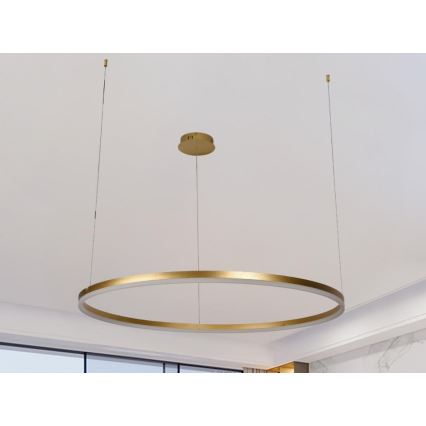 LED Stmievateľný luster na lanku LED/55W/230V 3000-6500K + diaľkové ovládanie