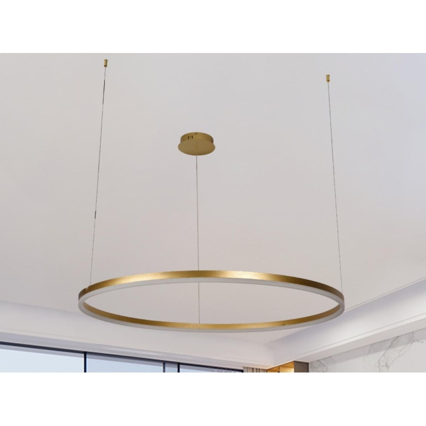 LED Stmievateľný luster na lanku LED/55W/230V 3000-6500K + diaľkové ovládanie