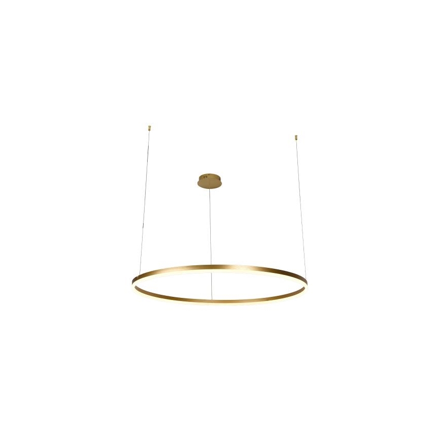 LED Stmievateľný luster na lanku LED/55W/230V 3000-6500K + diaľkové ovládanie