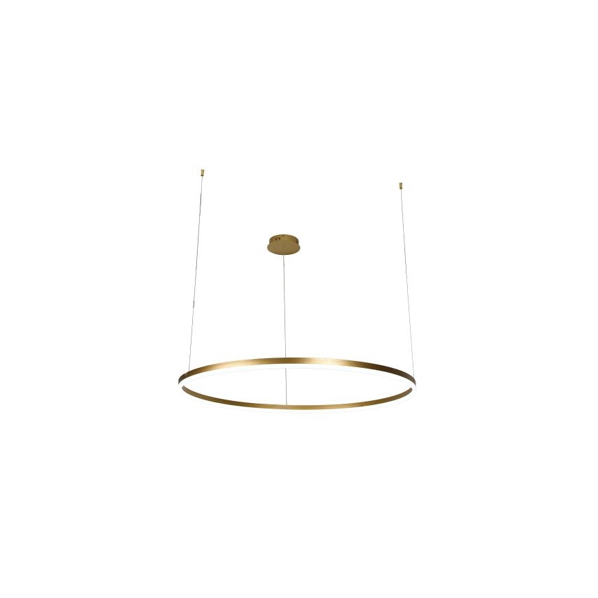 LED Stmievateľný luster na lanku LED/55W/230V 3000-6500K + diaľkové ovládanie