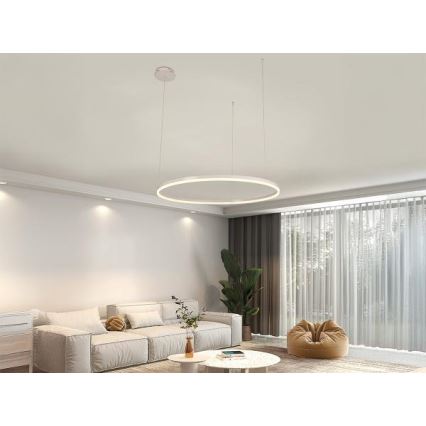 LED Stmievateľný luster na lanku LED/55W/230V 3000-6500K + diaľkové ovládanie