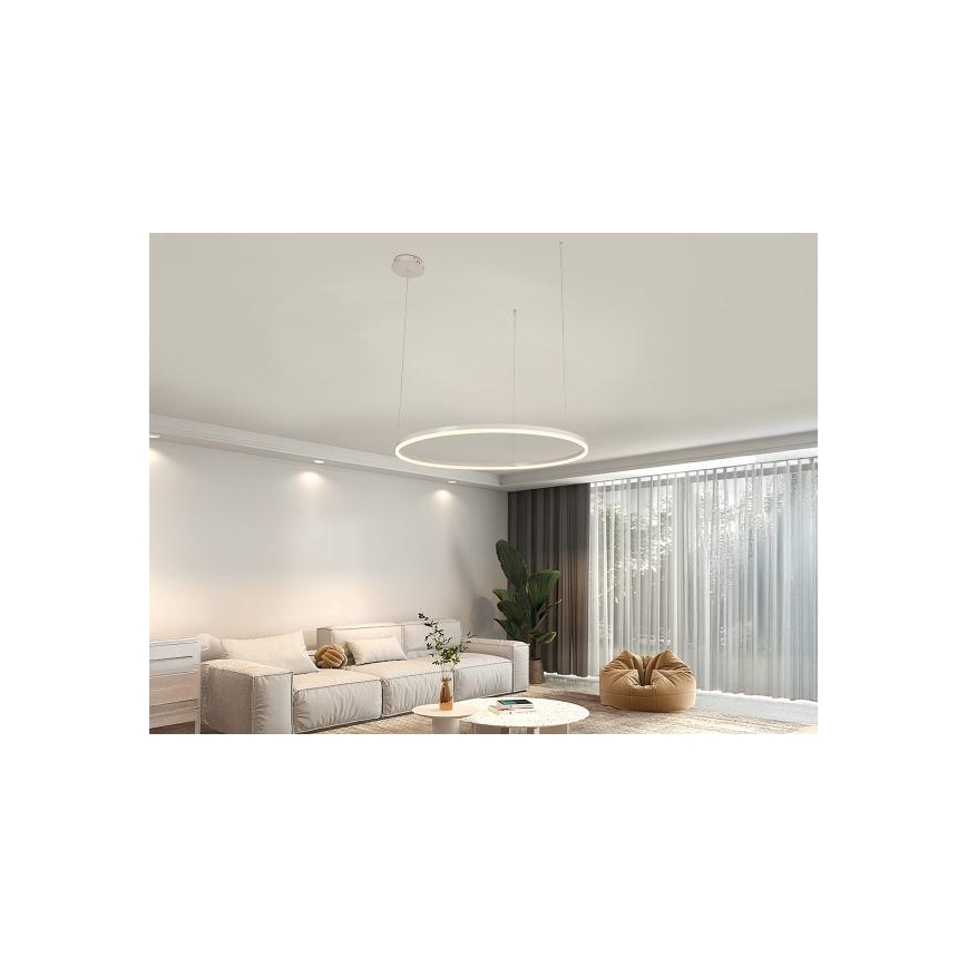 LED Stmievateľný luster na lanku LED/55W/230V 3000-6500K + diaľkové ovládanie