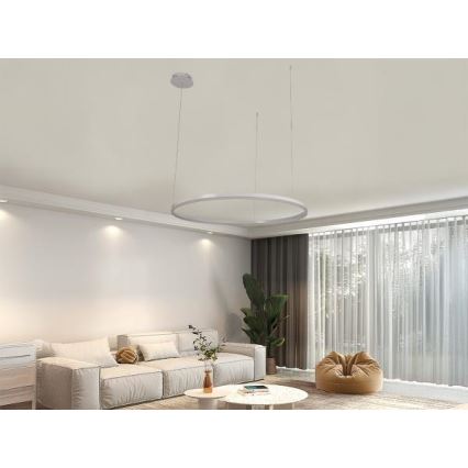 LED Stmievateľný luster na lanku LED/55W/230V 3000-6500K + diaľkové ovládanie