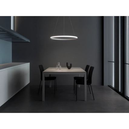 LED stmievateľný luster na lanku LED/55W/230V 3000-6500K pr. 60 cm + diaľkové ovládanie