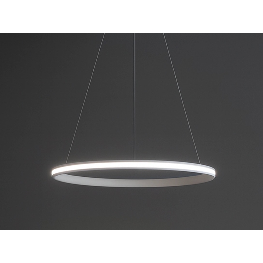 LED stmievateľný luster na lanku LED/55W/230V 3000-6500K pr. 60 cm + diaľkové ovládanie