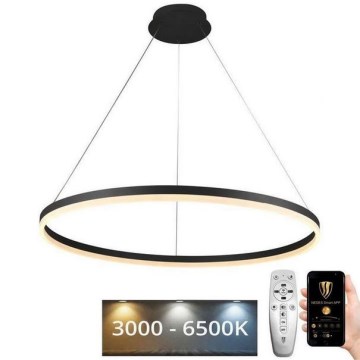 LED Stmievateľný luster na lanku LED/55W/230V 3000-6500K pr. 80 cm + diaľkové ovládanie
