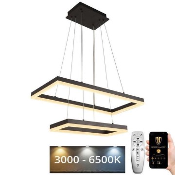 LED Stmievateľný luster na lanku LED/65W/230V 3000-6500K + diaľkové ovládanie