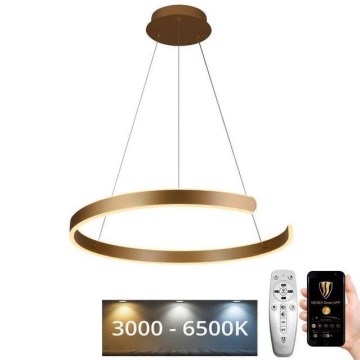 LED Stmievateľný luster na lanku LED/70W/230V 3000-6500K + diaľkové ovládanie