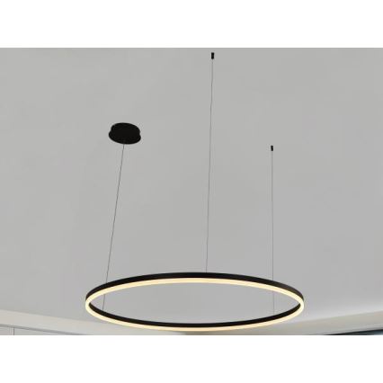 LED Stmievateľný luster na lanku LED/72W/230V 3000-6500K + diaľkové ovládanie