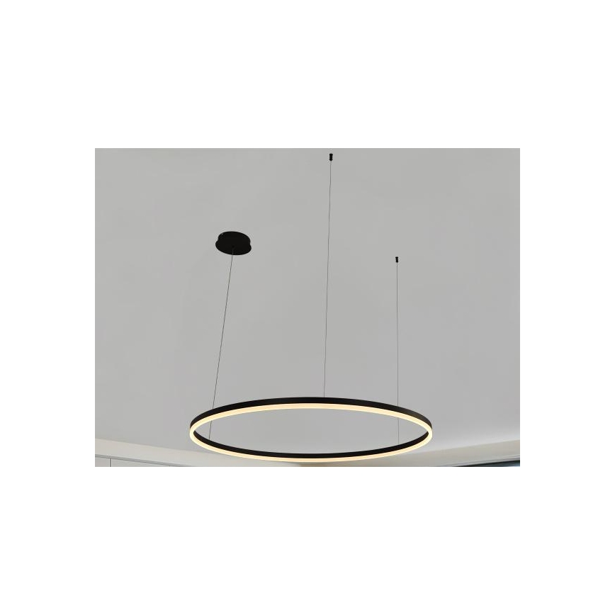 LED Stmievateľný luster na lanku LED/72W/230V 3000-6500K + diaľkové ovládanie