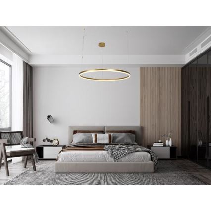 LED Stmievateľný luster na lanku LED/72W/230V 3000-6500K + diaľkové ovládanie