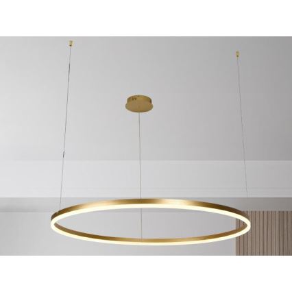 LED Stmievateľný luster na lanku LED/72W/230V 3000-6500K + diaľkové ovládanie