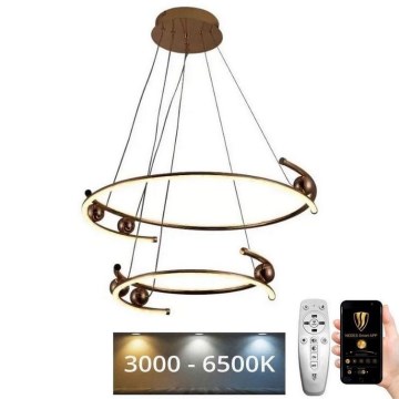 LED Stmievateľný luster na lanku LED/80W/230V 3000-6500K pr. 60 cm + diaľkové ovládanie