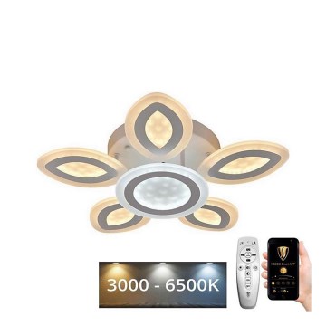 LED Stmievateľný prisadený luster LED/95W/230V 3000-6500K + diaľkové ovládanie