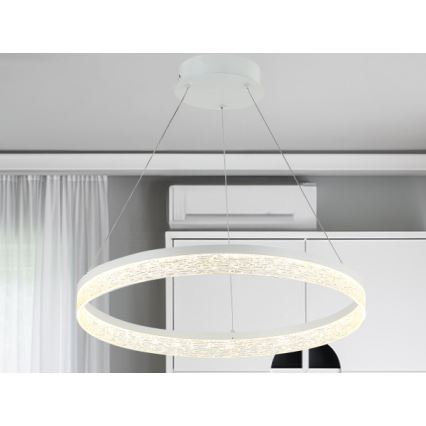 LED stmievateľný luster na lankách ALIANZ LED/60W/230V 3000-6000K pr. 80 cm + diaľkové ovládanie