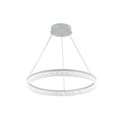 LED stmievateľný luster na lankách ALIANZ LED/60W/230V 3000-6000K pr. 80 cm + diaľkové ovládanie