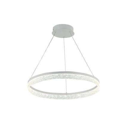 LED stmievateľný luster na lankách ALIANZ LED/60W/230V 3000-6000K pr. 80 cm + diaľkové ovládanie