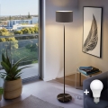 LED stojacia lampa TUNJA 1xE27/20W/230V pr. 30 cm čierna/hnedá