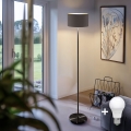 LED stojacia lampa TUNJA 1xE27/20W/230V pr. 30 cm čierna/taupe