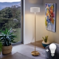 LED stojacia lampa TUNJA 1xE27/20W/230V pr. 30 cm zlatá/biela
