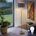 LED stojacia lampa TUNJA 1xE27/20W/230V priemer 38 cm zlatá/taupe
