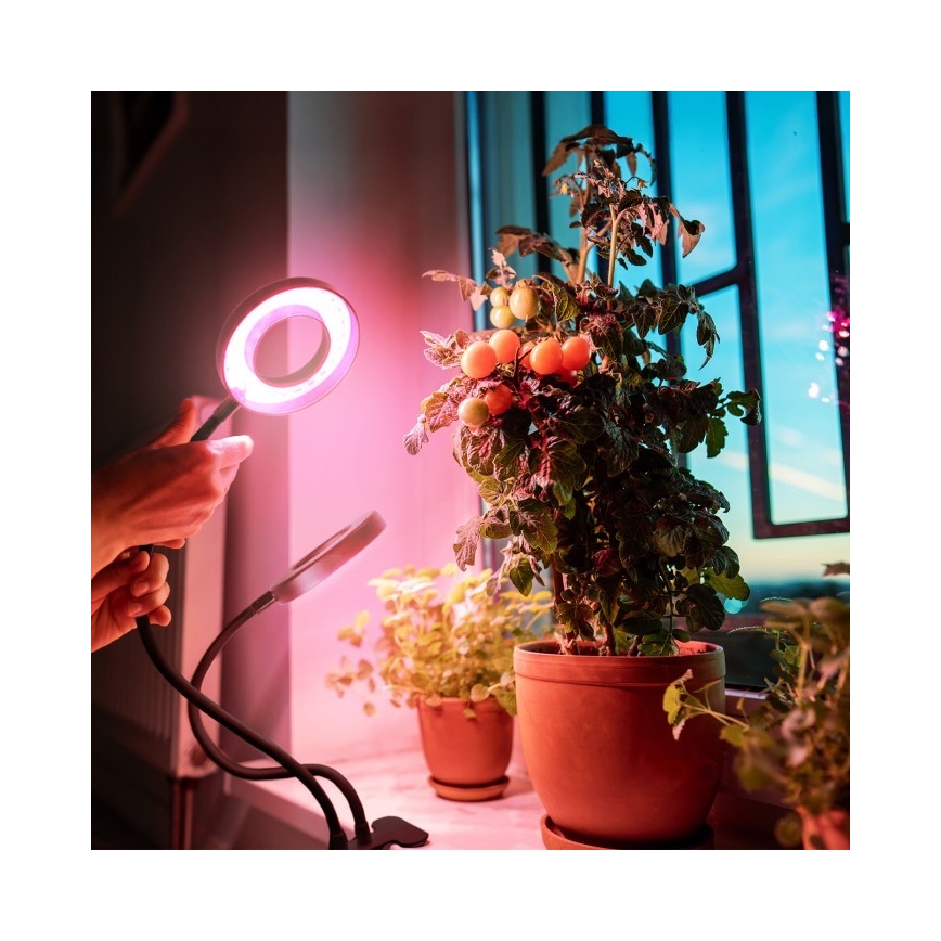 LED Stmievaťelná flexibilná stolová lampa s klipom na pestovanie rastlín VITARO 2xLED/4W/230V čierna