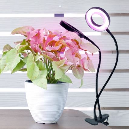 LED Stmievaťelná flexibilná stolová lampa s klipom na pestovanie rastlín VITARO 2xLED/4W/230V čierna