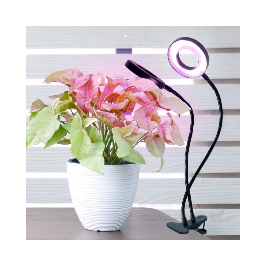 LED Stmievaťelná flexibilná stolová lampa s klipom na pestovanie rastlín VITARO 2xLED/4W/230V čierna