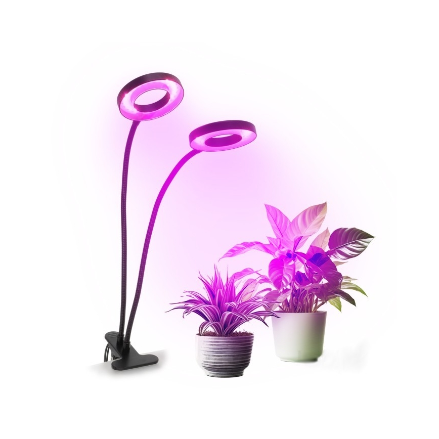 LED Stmievaťelná flexibilná stolová lampa s klipom na pestovanie rastlín VITARO 2xLED/4W/230V čierna