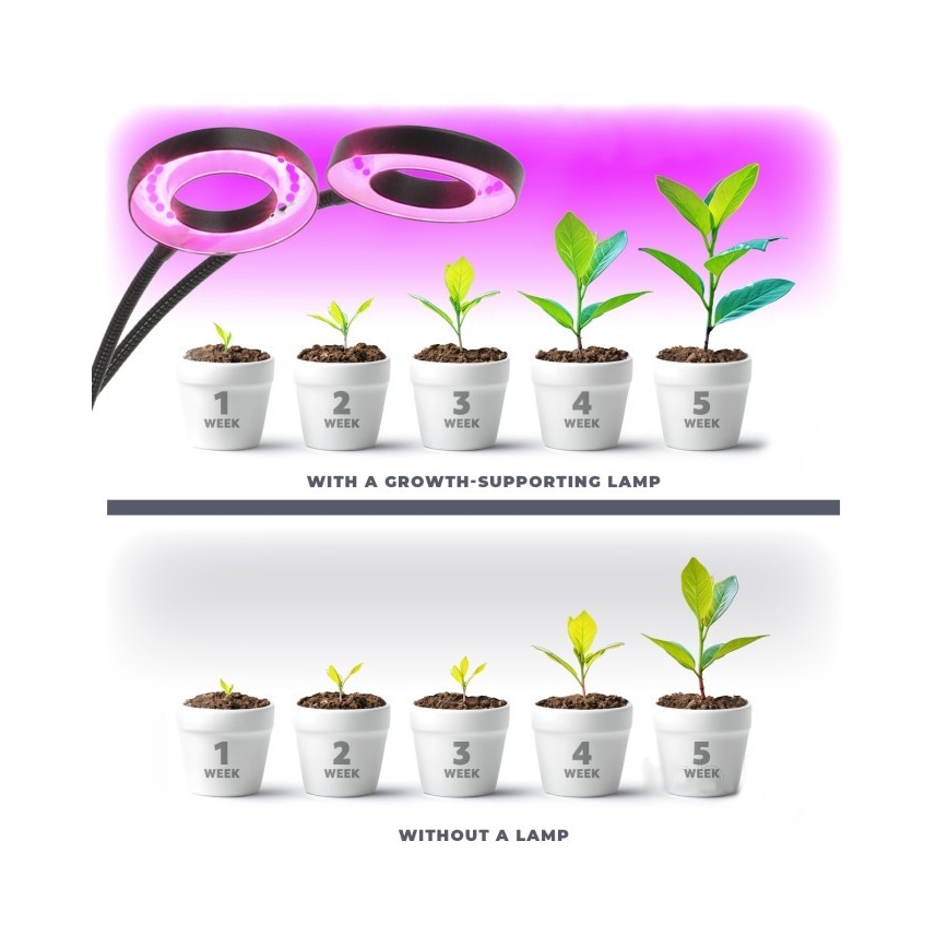 LED Stmievaťelná flexibilná stolová lampa s klipom na pestovanie rastlín VITARO 2xLED/4W/230V čierna