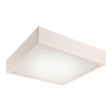 LED stropné svietidlo 24 W/230 V