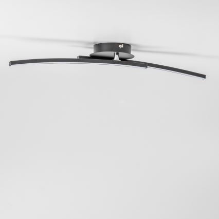 LED stropné svietidlo 2xLED/6W/230V čierne