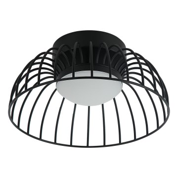 LED stropné svietidlo BETSY LED/12W/230V pr. 25 cm čierne
