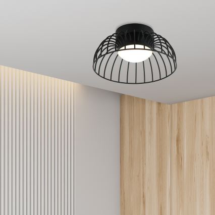 LED stropné svietidlo BETSY LED/12W/230V pr. 25 cm čierne