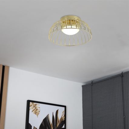 LED Stropné svietidlo BETSY LED/12W/230V pr. 25 cm zlaté