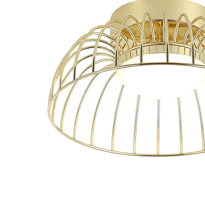 LED Stropné svietidlo BETSY LED/12W/230V pr. 25 cm zlaté
