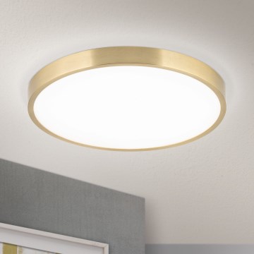 LED Stropné svietidlo BULLY LED/28W/230V pr. 28 cm zlatá
