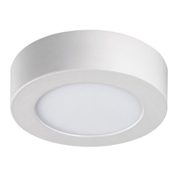 LED Stropné svietidlo CARSA LED/6W/230V 4000K biela pr. 11,9 cm