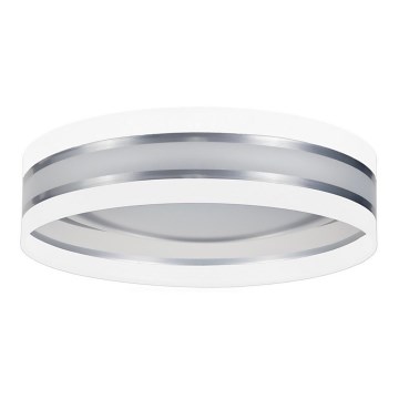 LED Stropné svietidlo CORAL LED/24W/230V biela/strieborná