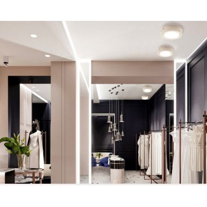 LED Stropné svietidlo DIEGO LED/12W/230V 4000K IP40 pr. 16,5 cm biele