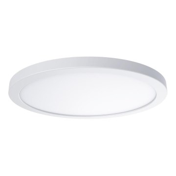 LED stropné svietidlo EVORA LED/24W/230V 3000/4000/6000K pr. 30 cm biela
